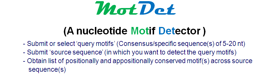 MotDet